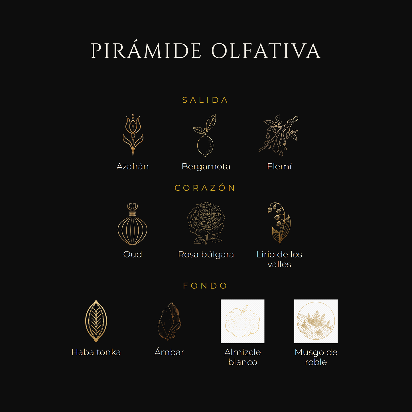 Inspirada en Amber Oud Dubai Night — Al Haramain