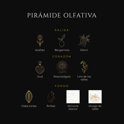 Inspirada en Amber Oud Dubai Night — Al Haramain