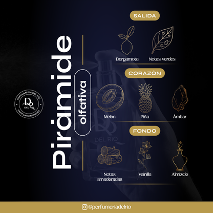 Inspirada en Amber Oud Gold — Al Haramain