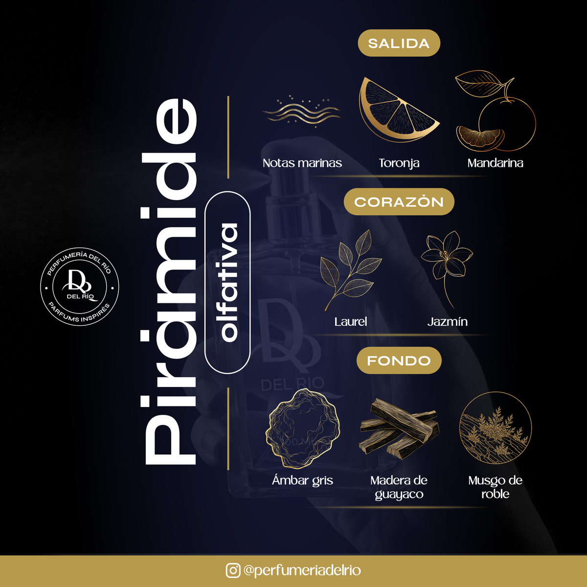 Inspirada en Invictus — Paco Rabanne