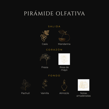 Inspirada en Sì — Giorgio Armani