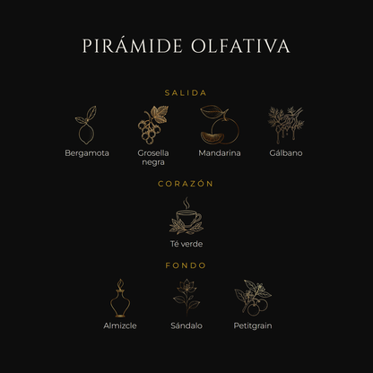 Inspirada en Silver Mountain Water — Creed