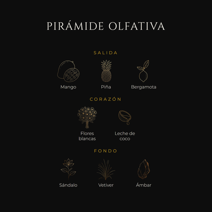 Inspirada en Summer Hammer — Lorenzo Pazzaglia