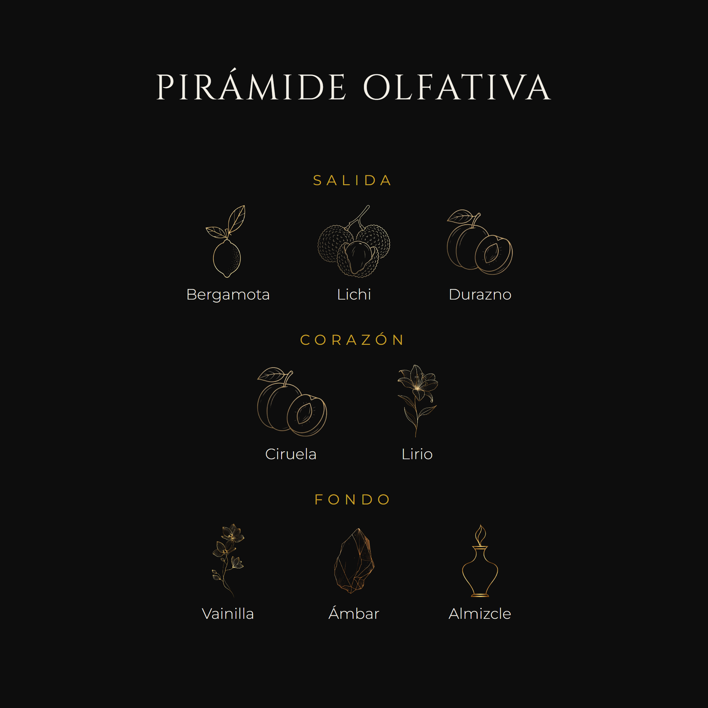 Inspirada en The One — Dolce & Gabbana