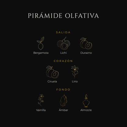 Inspirada en The One — Dolce & Gabbana