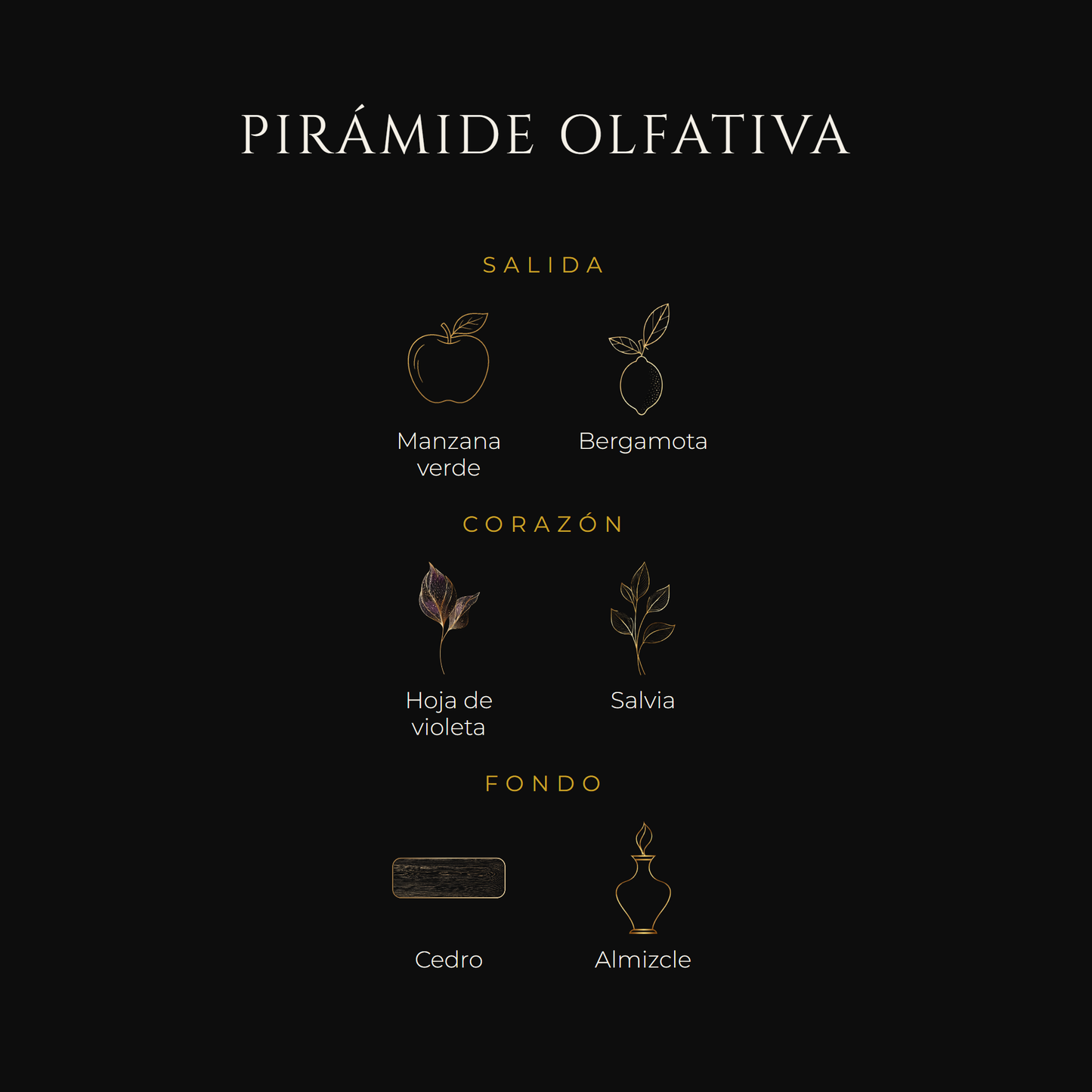Inspirada en The One Sport — Dolce & Gabbana