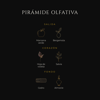 Inspirada en The One Sport — Dolce & Gabbana